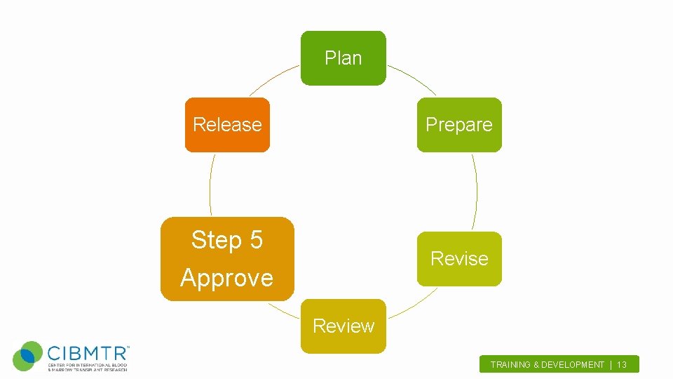 Plan Release Prepare Step 5 Revise Approve Review TRAINING & DEVELOPMENT | 13. 
