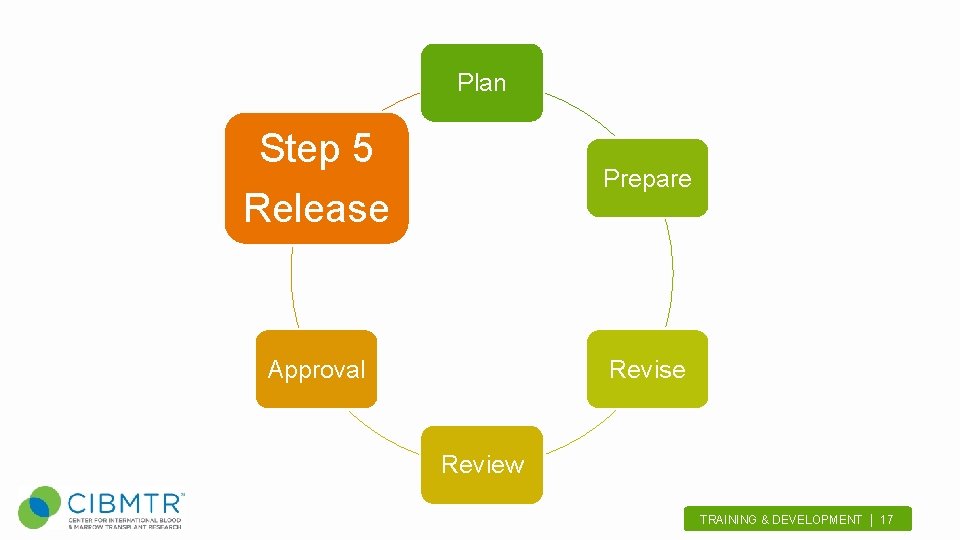 Plan Step 5 Release Prepare Approval Revise Review TRAINING & DEVELOPMENT | 17. 