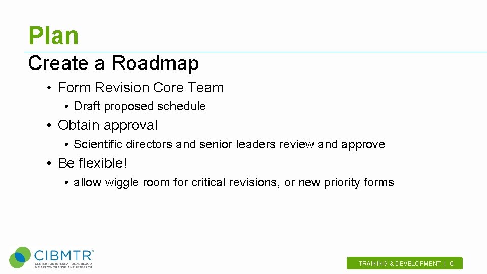 Plan Create a Roadmap • Form Revision Core Team • Draft proposed schedule •