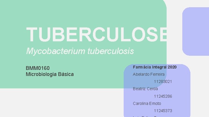 TUBERCULOSE Mycobacterium tuberculosis BMM 0160 Microbiologia Básica Farmácia Integral 2020 Abelardo Ferreira 11283021 Beatriz