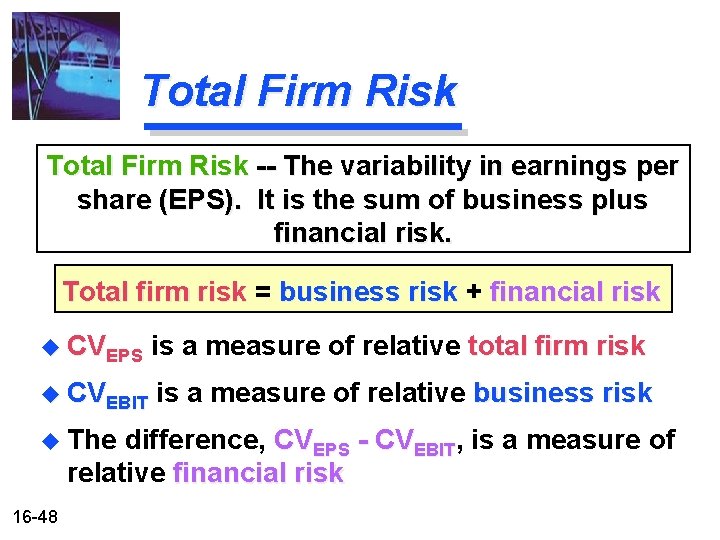 Total Firm Risk -- The variability in earnings per share (EPS). It is the