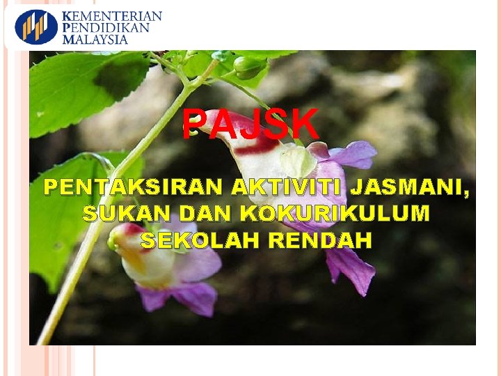 PAJSK PENTAKSIRAN AKTIVITI JASMANI, SUKAN DAN KOKURIKULUM SEKOLAH RENDAH 