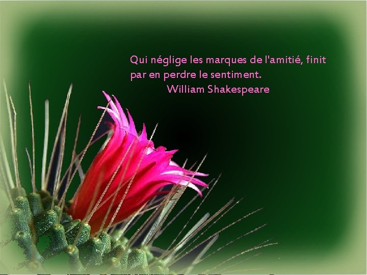 Qui néglige les marques de l'amitié, finit par en perdre le sentiment. William Shakespeare