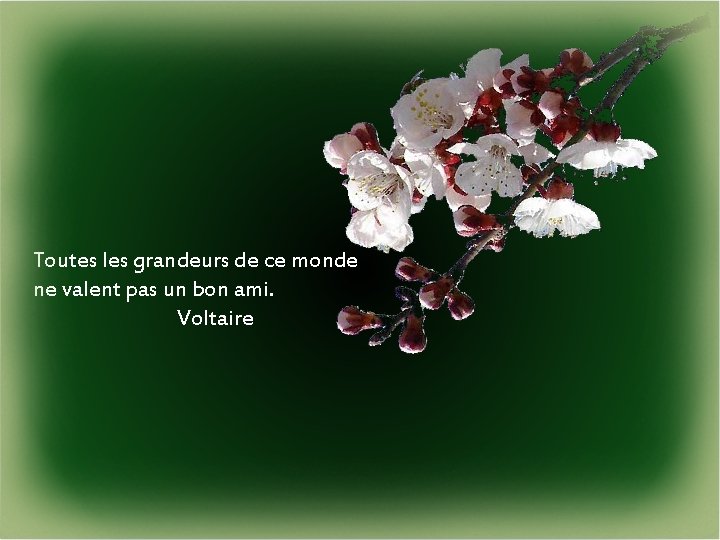 Toutes les grandeurs de ce monde ne valent pas un bon ami. Voltaire 