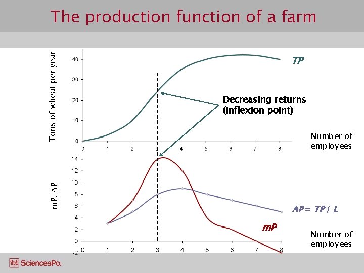 TP Decreasing returns (inflexion point) Number of employees m. P, AP Tons of wheat