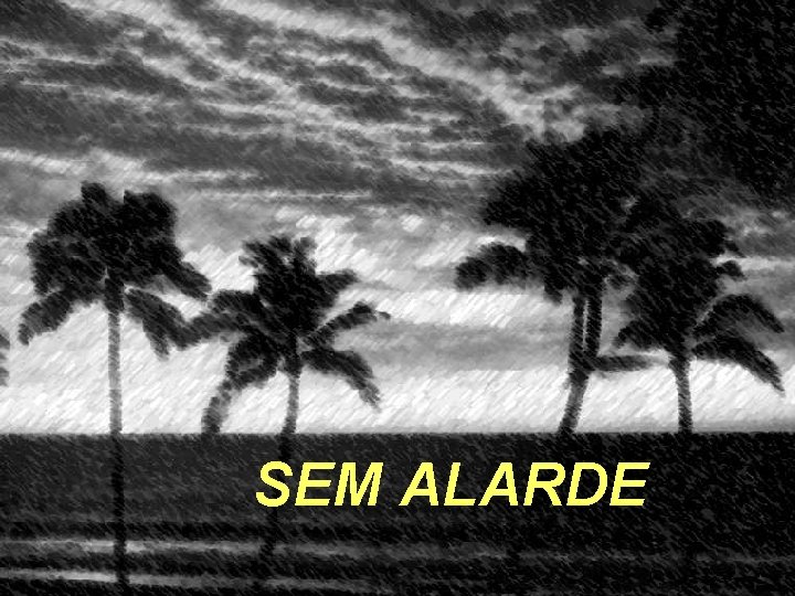 SEM ALARDE 