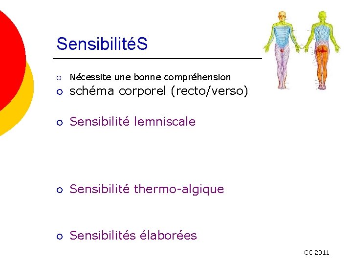 SensibilitéS ¡ Nécessite une bonne compréhension ¡ schéma corporel (recto/verso) ¡ Sensibilité lemniscale ¡