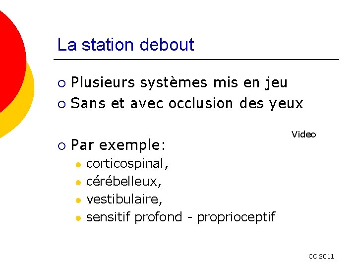 La station debout Plusieurs systèmes mis en jeu ¡ Sans et avec occlusion des