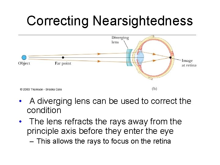 Correcting Nearsightedness • A diverging lens can be used to correct the condition •