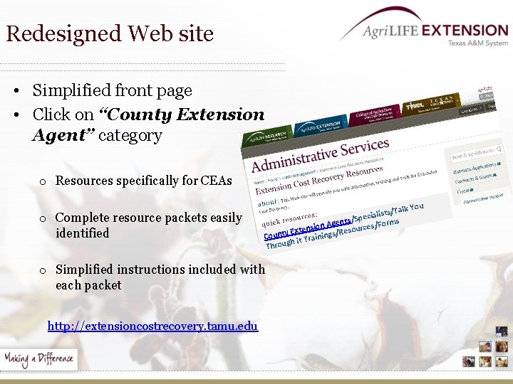 Redesigned Web site • Simplified front page • Click on “County Extension Agent” category