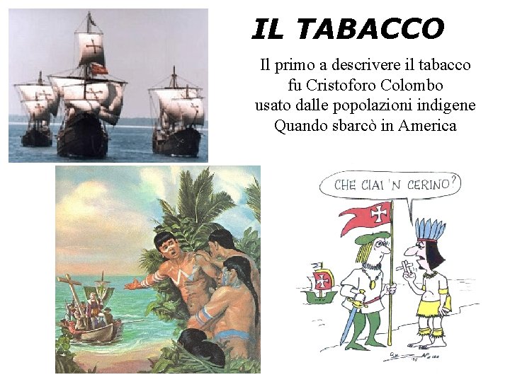 IL TABACCO Il primo a descrivere il tabacco fu Cristoforo Colombo usato dalle popolazioni