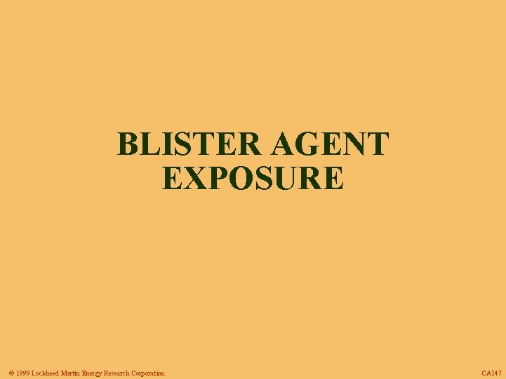 BLISTER AGENT EXPOSURE © 1999 Lockheed Martin Energy Research Corporation CA 147 