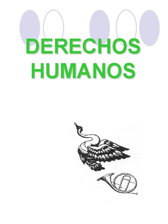 DERECHOS HUMANOS 