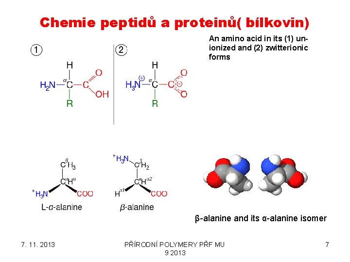 Chemie peptidů a proteinů( bílkovin) An amino acid in its (1) unionized and (2)