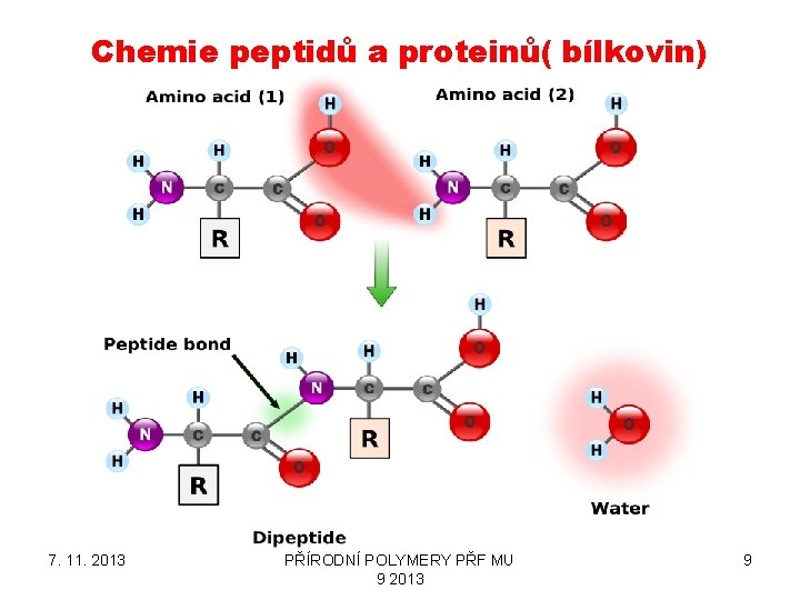 Chemie peptidů a proteinů( bílkovin) 7. 11. 2013 PŘÍRODNÍ POLYMERY PŘF MU 9 2013
