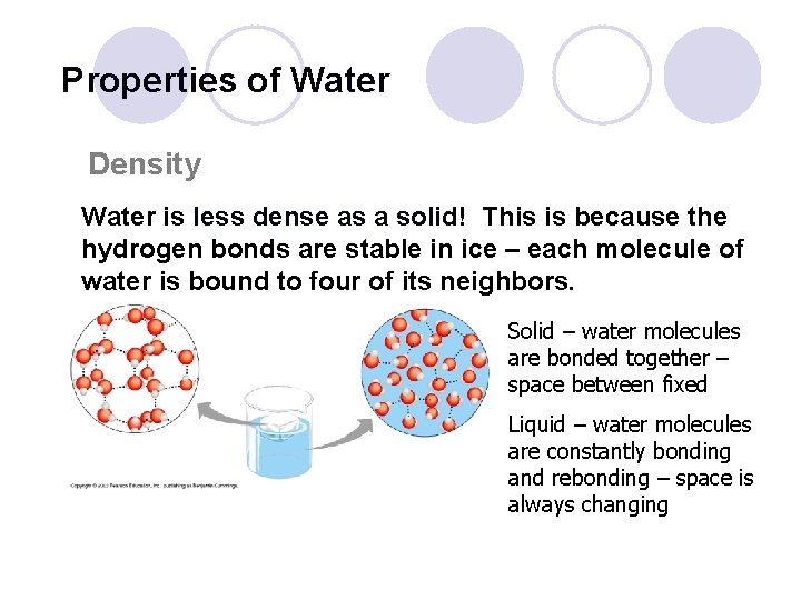 Properties of Water Density Water is less dense as a solid! This is because