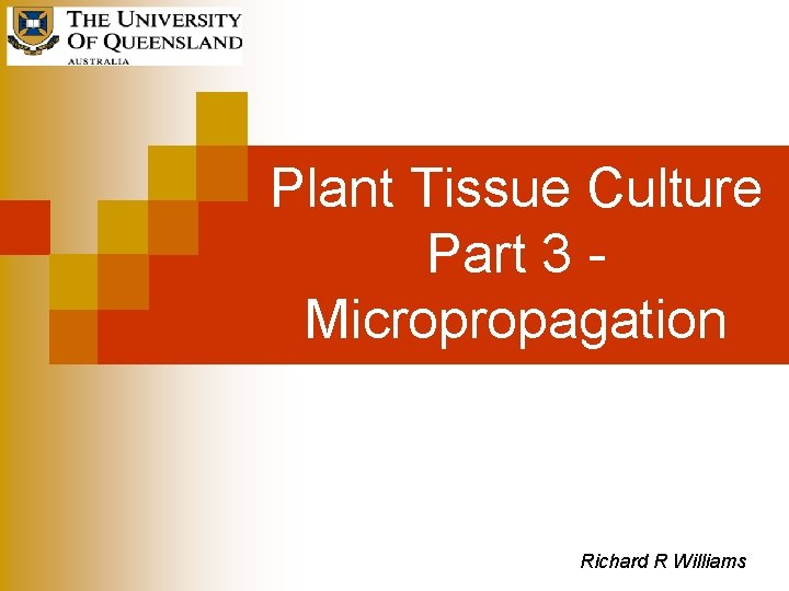 Plant Tissue Culture Part 3 Micropropagation Richard R Williams 