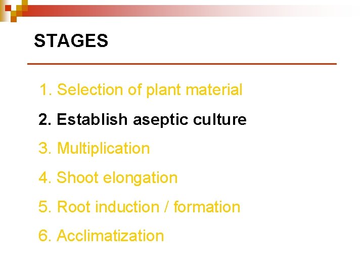 STAGES 1. Selection of plant material 2. Establish aseptic culture 3. Multiplication 4. Shoot