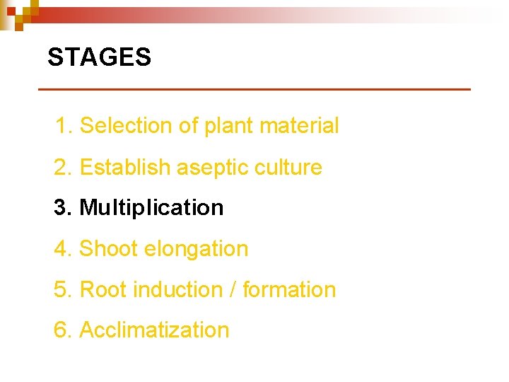 STAGES 1. Selection of plant material 2. Establish aseptic culture 3. Multiplication 4. Shoot