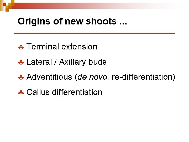 Origins of new shoots. . . § Terminal extension § Lateral / Axillary buds