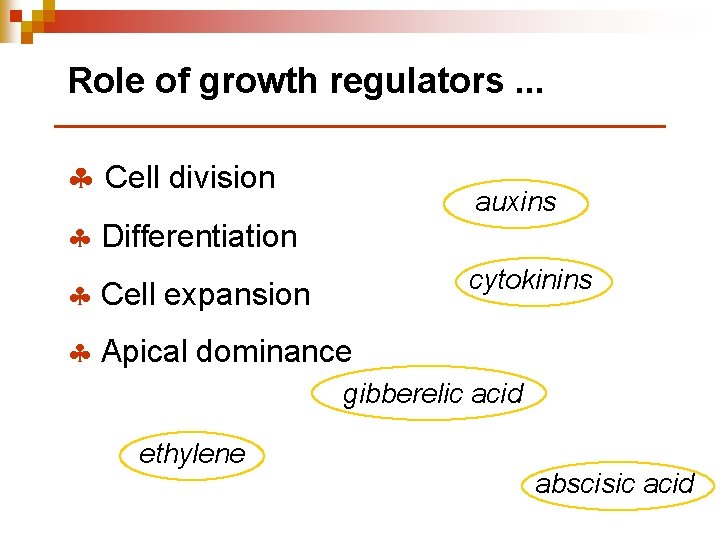 Role of growth regulators. . . § Cell division auxins § Differentiation cytokinins §