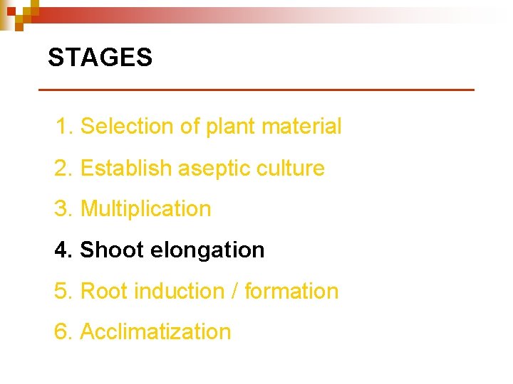 STAGES 1. Selection of plant material 2. Establish aseptic culture 3. Multiplication 4. Shoot