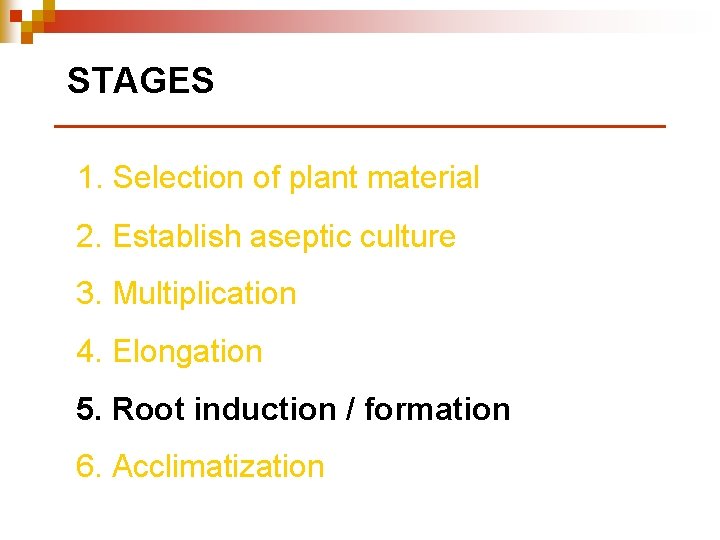 STAGES 1. Selection of plant material 2. Establish aseptic culture 3. Multiplication 4. Elongation