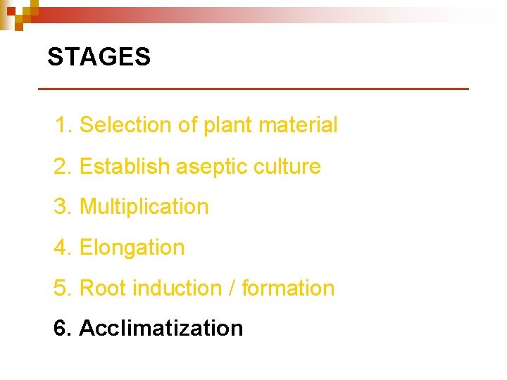 STAGES 1. Selection of plant material 2. Establish aseptic culture 3. Multiplication 4. Elongation