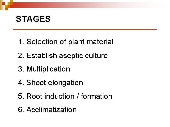 STAGES 1. Selection of plant material 2. Establish aseptic culture 3. Multiplication 4. Shoot