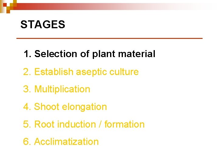 STAGES 1. Selection of plant material 2. Establish aseptic culture 3. Multiplication 4. Shoot
