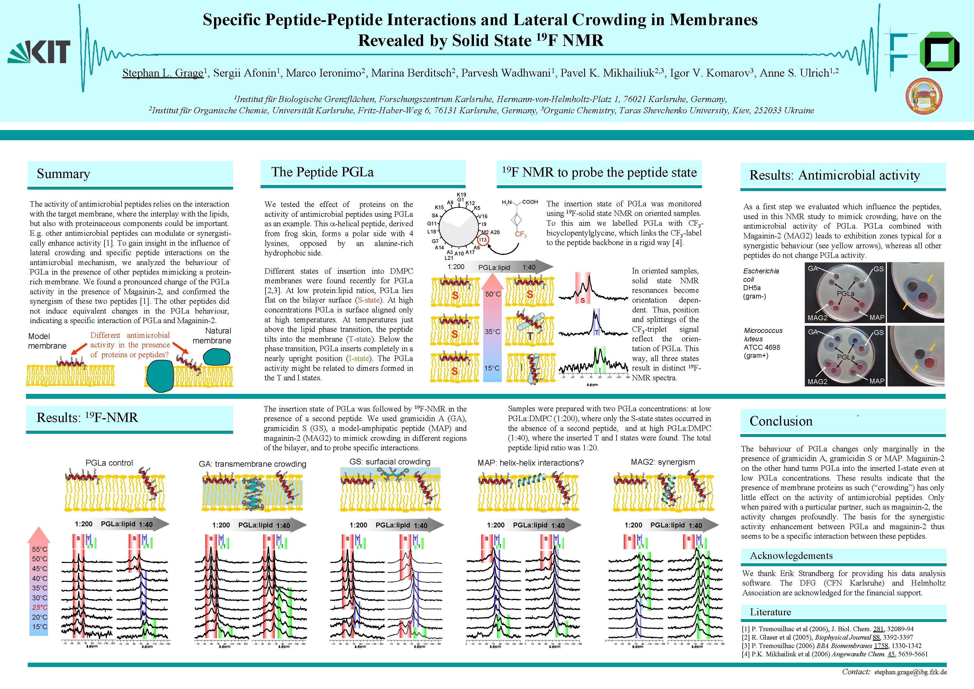 Specific Peptide-Peptide Interactions and Lateral Crowding in Membranes 19 Revealed by Solid State F