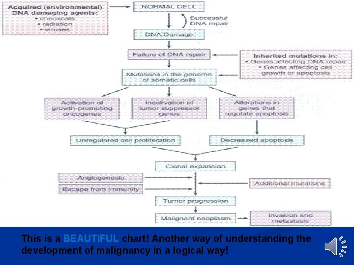 This is a BEAUTIFUL chart! Another way of understanding the development of malignancy in