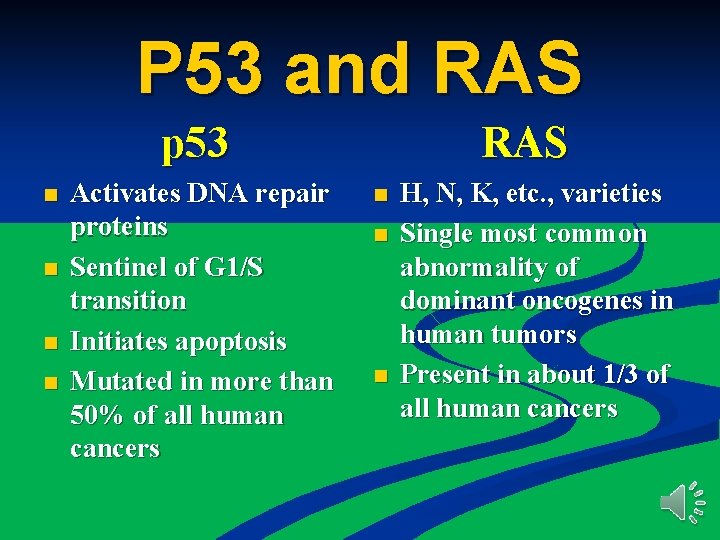 P 53 and RAS p 53 n n Activates DNA repair proteins Sentinel of