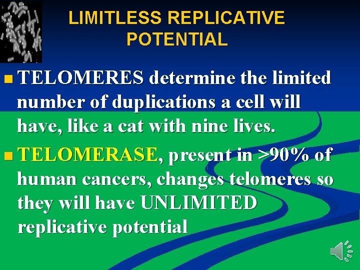 LIMITLESS REPLICATIVE POTENTIAL n TELOMERES determine the limited number of duplications a cell will