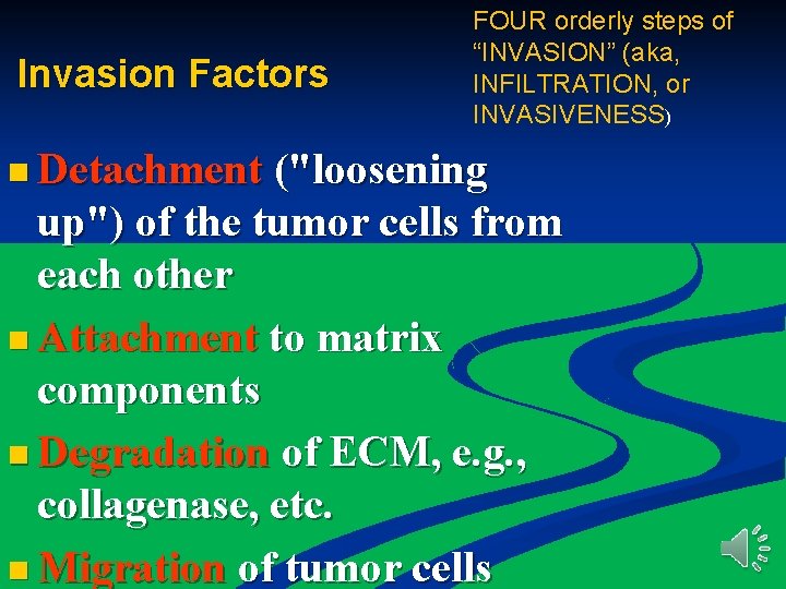 Invasion Factors FOUR orderly steps of “INVASION” (aka, INFILTRATION, or INVASIVENESS) n Detachment ("loosening