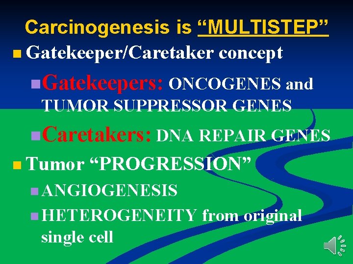 Carcinogenesis is “MULTISTEP” n Gatekeeper/Caretaker concept n. Gatekeepers: ONCOGENES and TUMOR SUPPRESSOR GENES n.