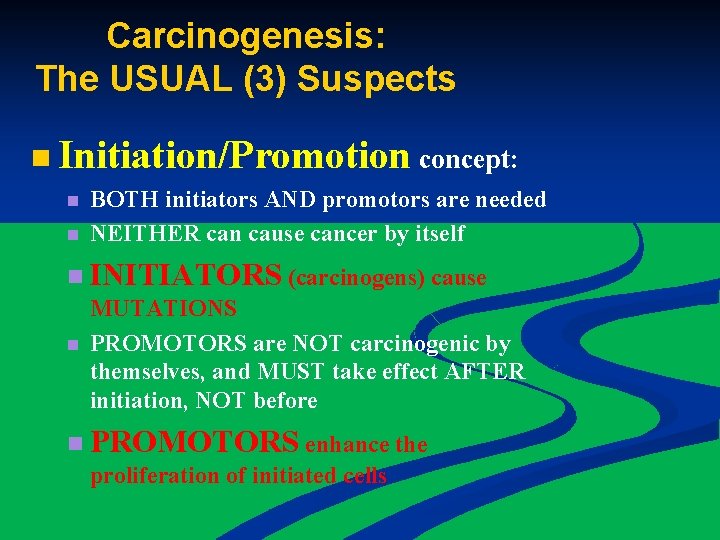 Carcinogenesis: The USUAL (3) Suspects n Initiation/Promotion concept: n n BOTH initiators AND promotors