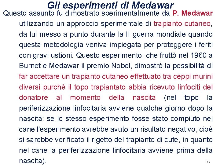 Gli esperimenti di Medawar Questo assunto fu dimostrato sperimentalmente da P. Medawar utilizzando un