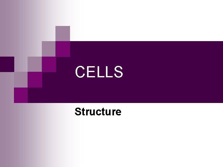 CELLS Structure 