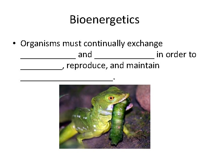 Bioenergetics • Organisms must continually exchange ______ and _______ in order to _____, reproduce,