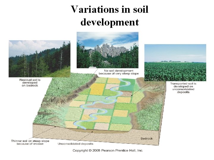 Variations in soil development 