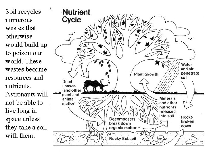 Soil recycles numerous wastes that otherwise would build up to poison our world. These