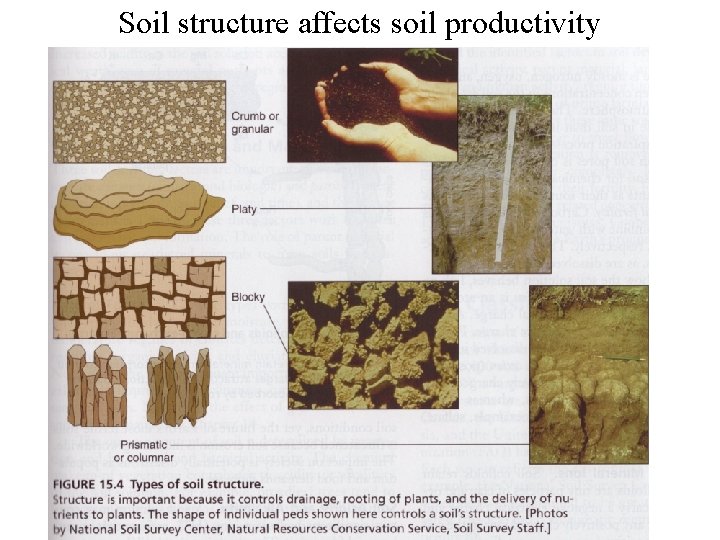 Soil structure affects soil productivity 