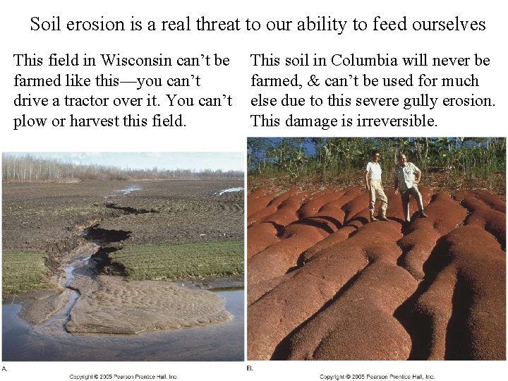 Soil erosion is a real threat to our ability to feed ourselves This field