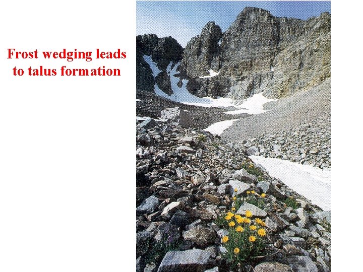 Frost wedging leads to talus formation 