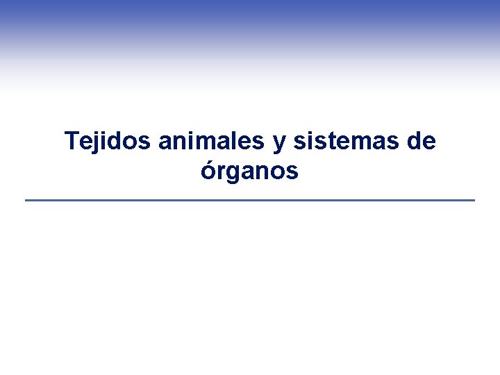 Tejidos animales y sistemas de órganos 