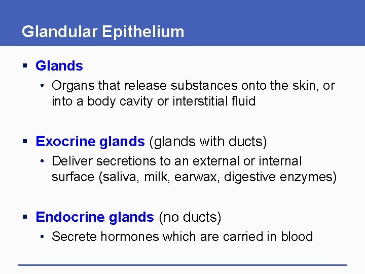 Glandular Epithelium § Glands • Organs that release substances onto the skin, or into