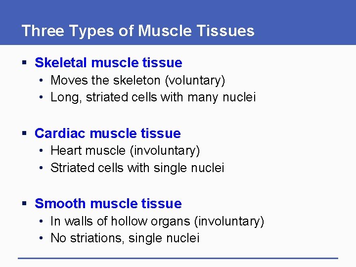 Three Types of Muscle Tissues § Skeletal muscle tissue • Moves the skeleton (voluntary)