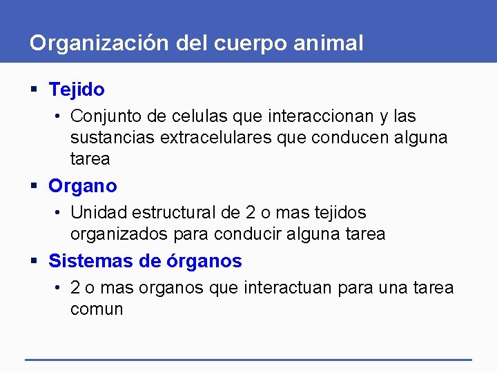 Organización del cuerpo animal § Tejido • Conjunto de celulas que interaccionan y las