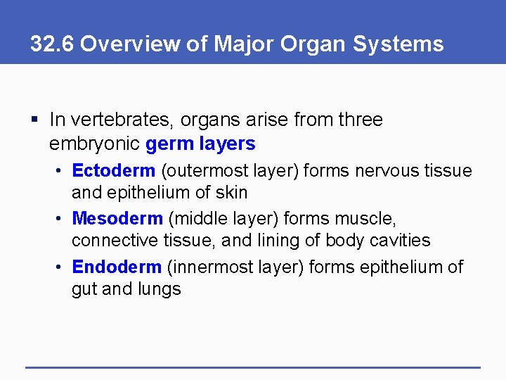 32. 6 Overview of Major Organ Systems § In vertebrates, organs arise from three